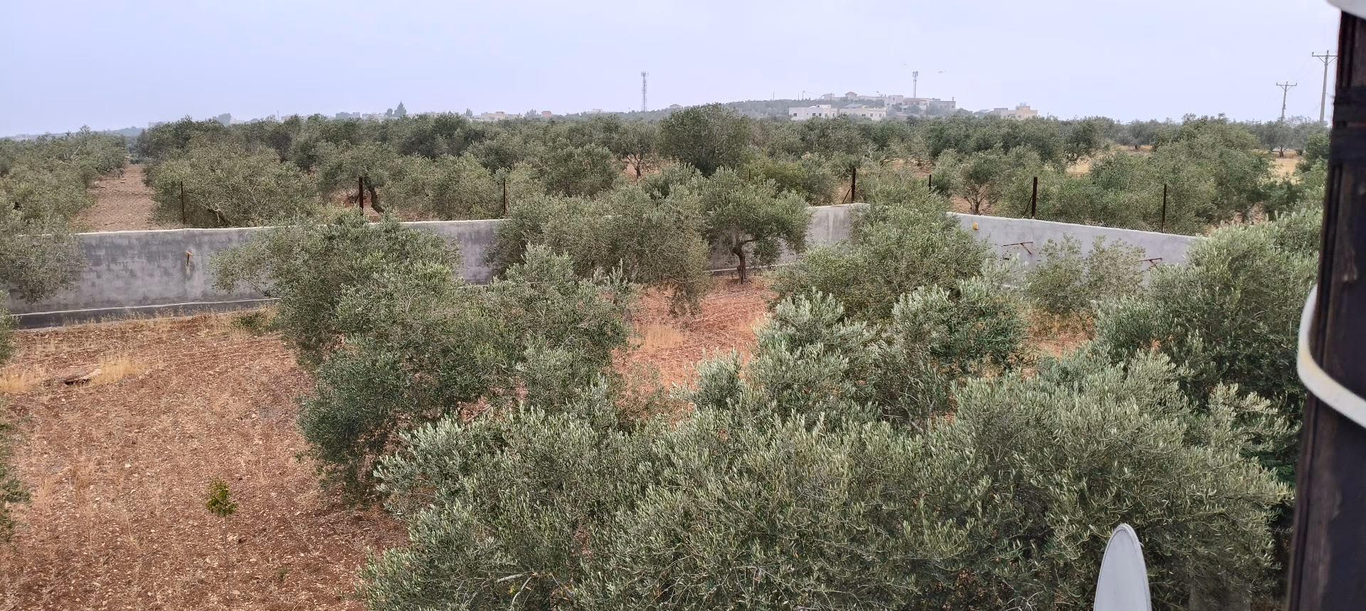Main photo of Miral Farm