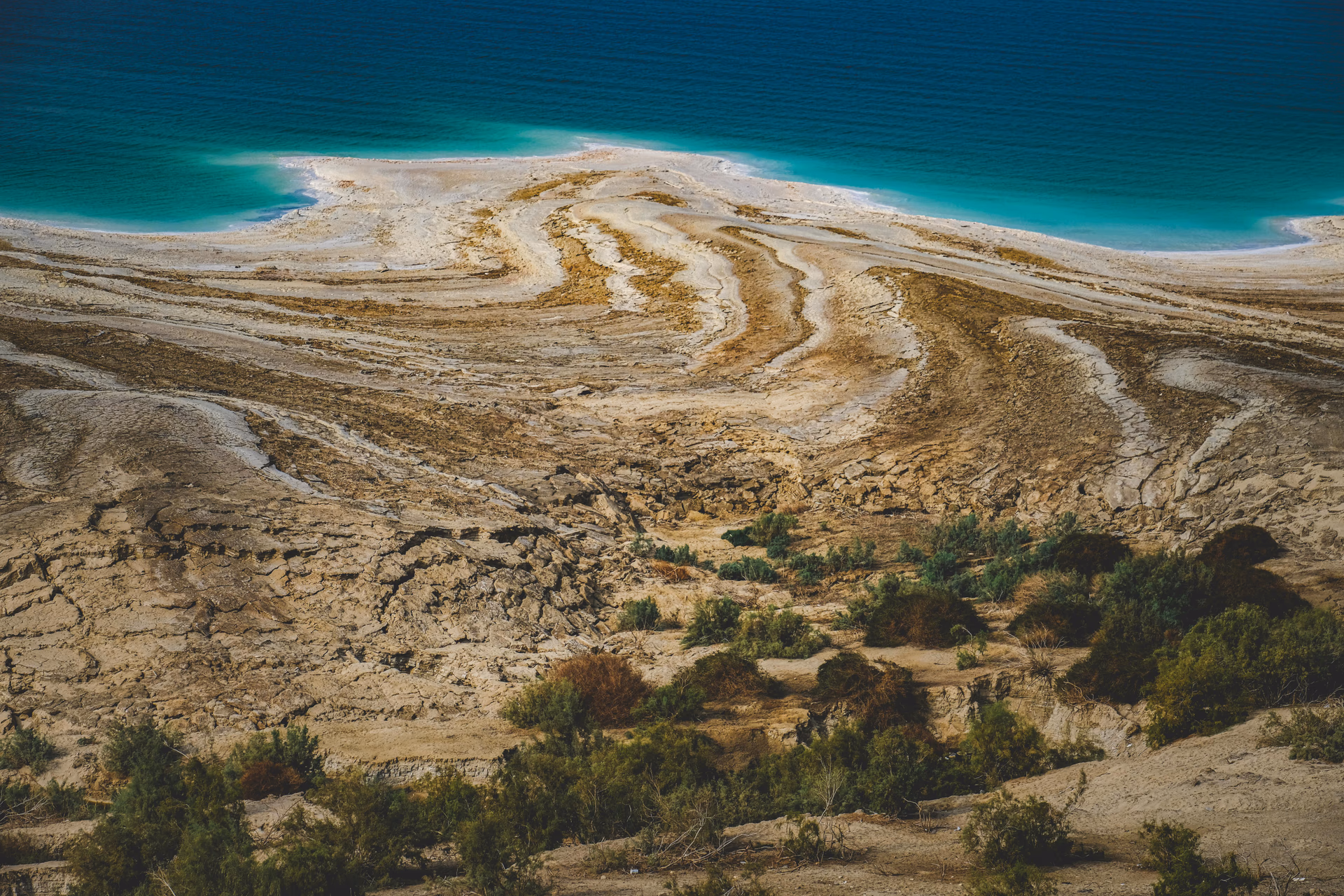 Dead Sea vs Ajloun vs Aqaba: which chalet trip fits you?