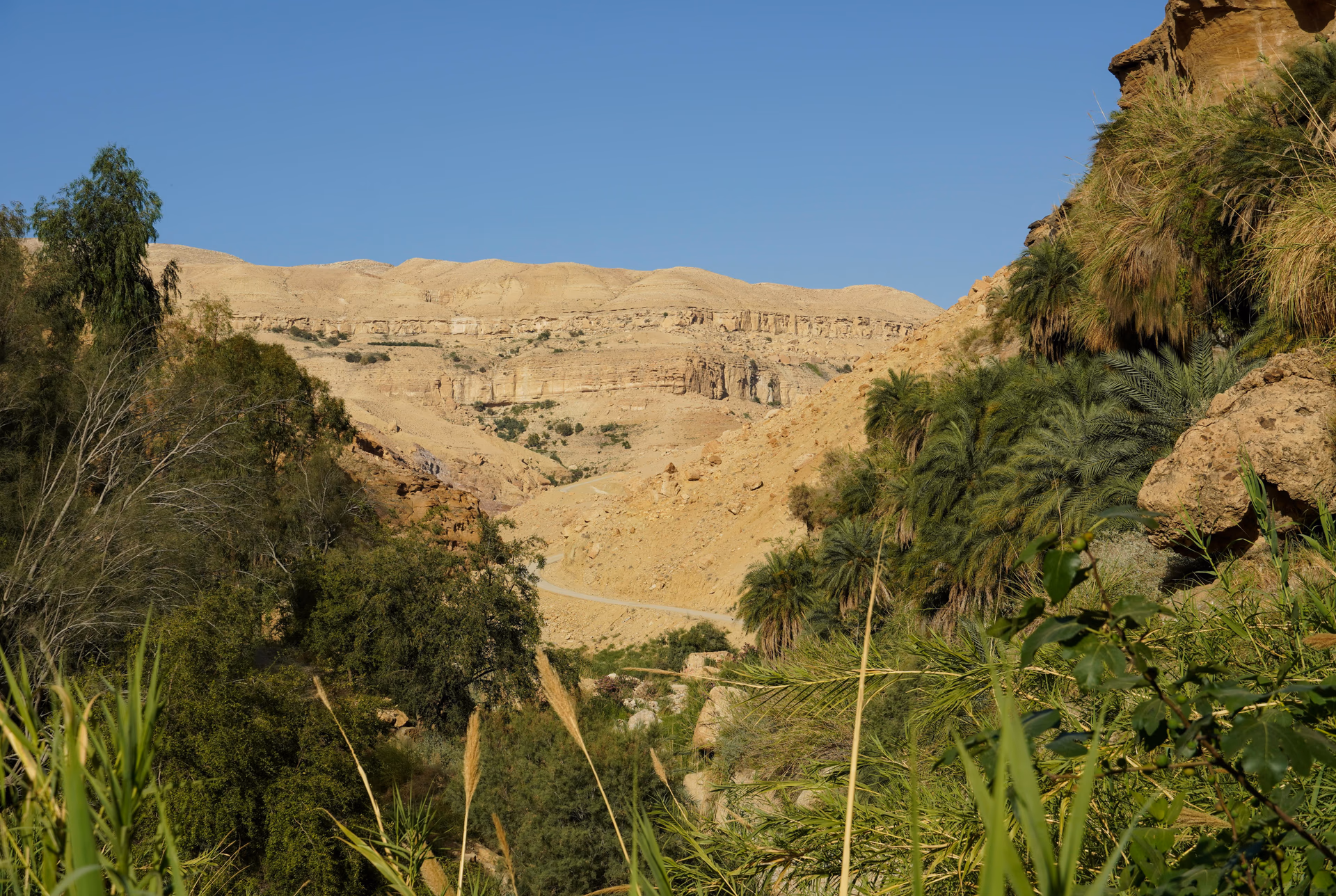 Karak travel guide: the Crusader castle and stays