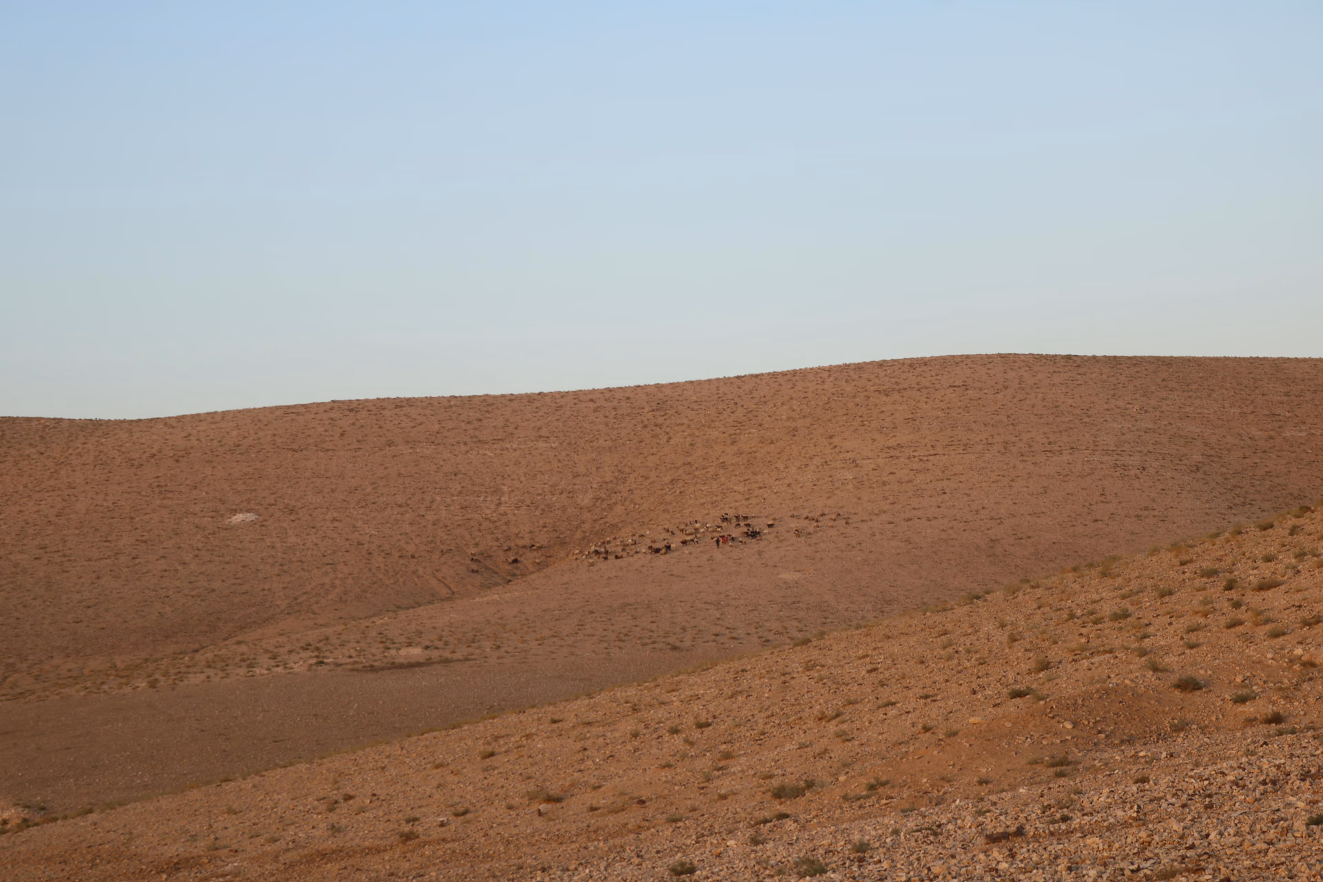 The northern desert and Umm el-Jimal ruins near Mafraq, Jordan