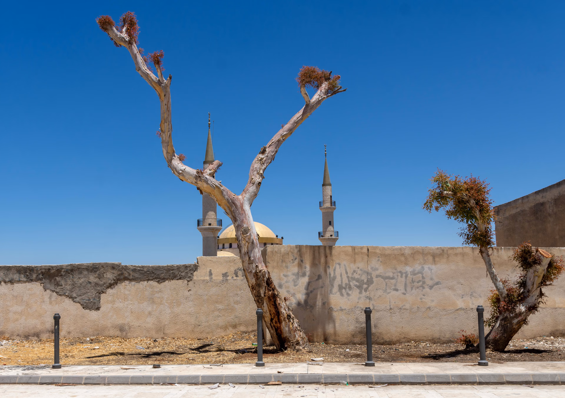 Azraq and Zarqa guide: the desert oasis and stays